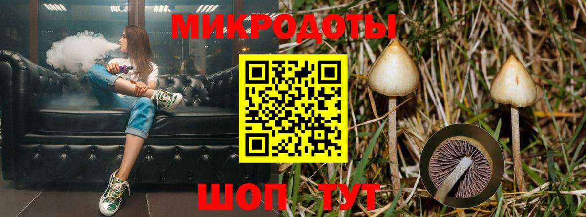 Галлюциногенные грибы мицелий Луховицы