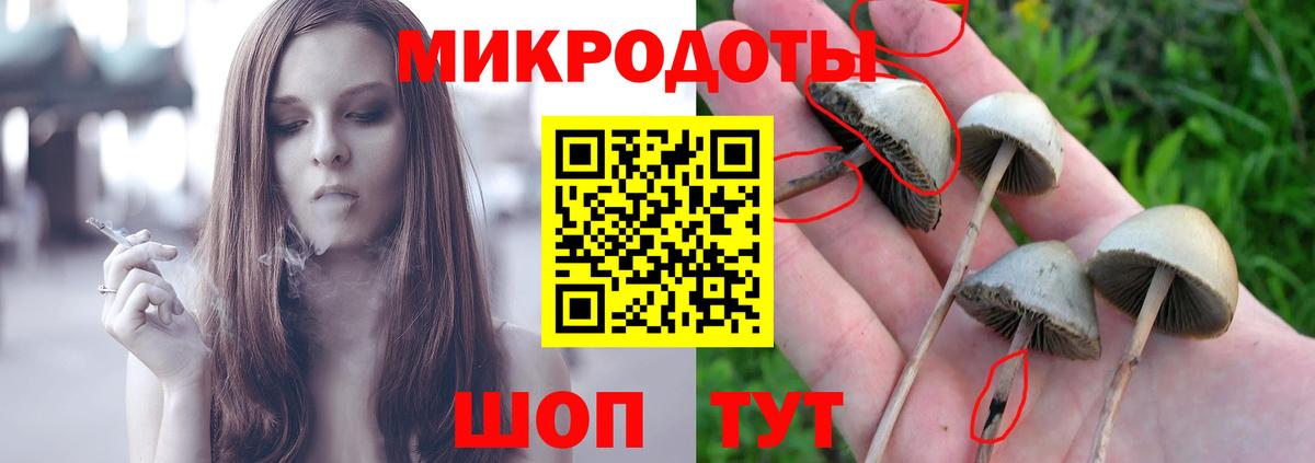 Луховицы  Псилоцибиновые грибы GOLDEN TEACHER  Вход с VPN 
